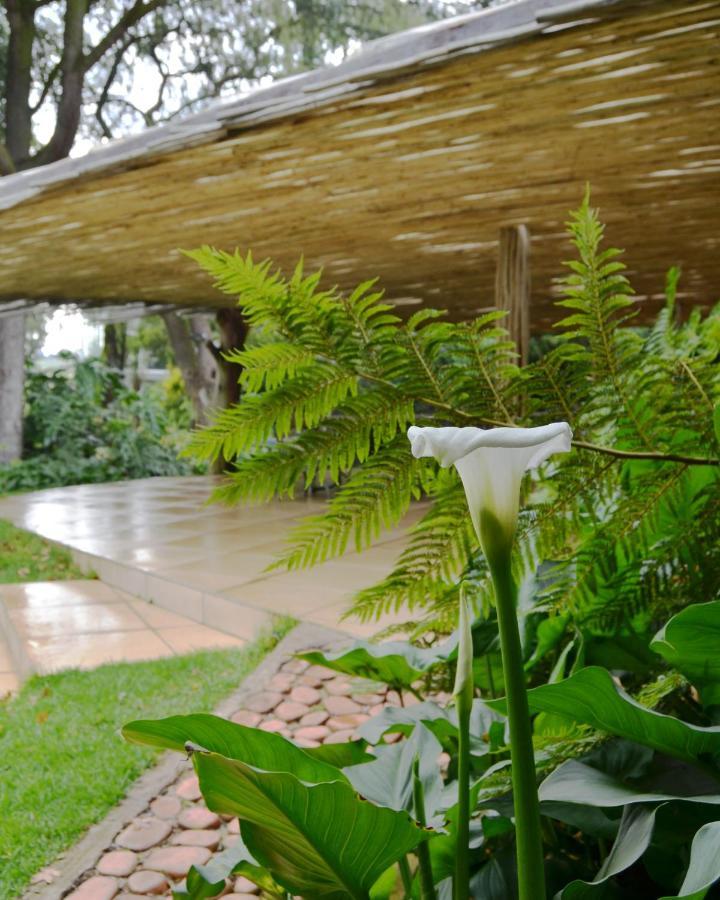 Highveld Splendour Boutique Bed&Breakfast Ermelo Extérieur photo